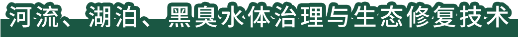 河流、湖泊、黑臭水體治理與生態(tài)修復(fù)技術(shù)