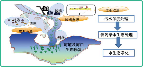 人工濕地，人工濕地建設(shè)