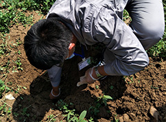 華清環(huán)境土壤采樣 華清環(huán)境土壤采樣